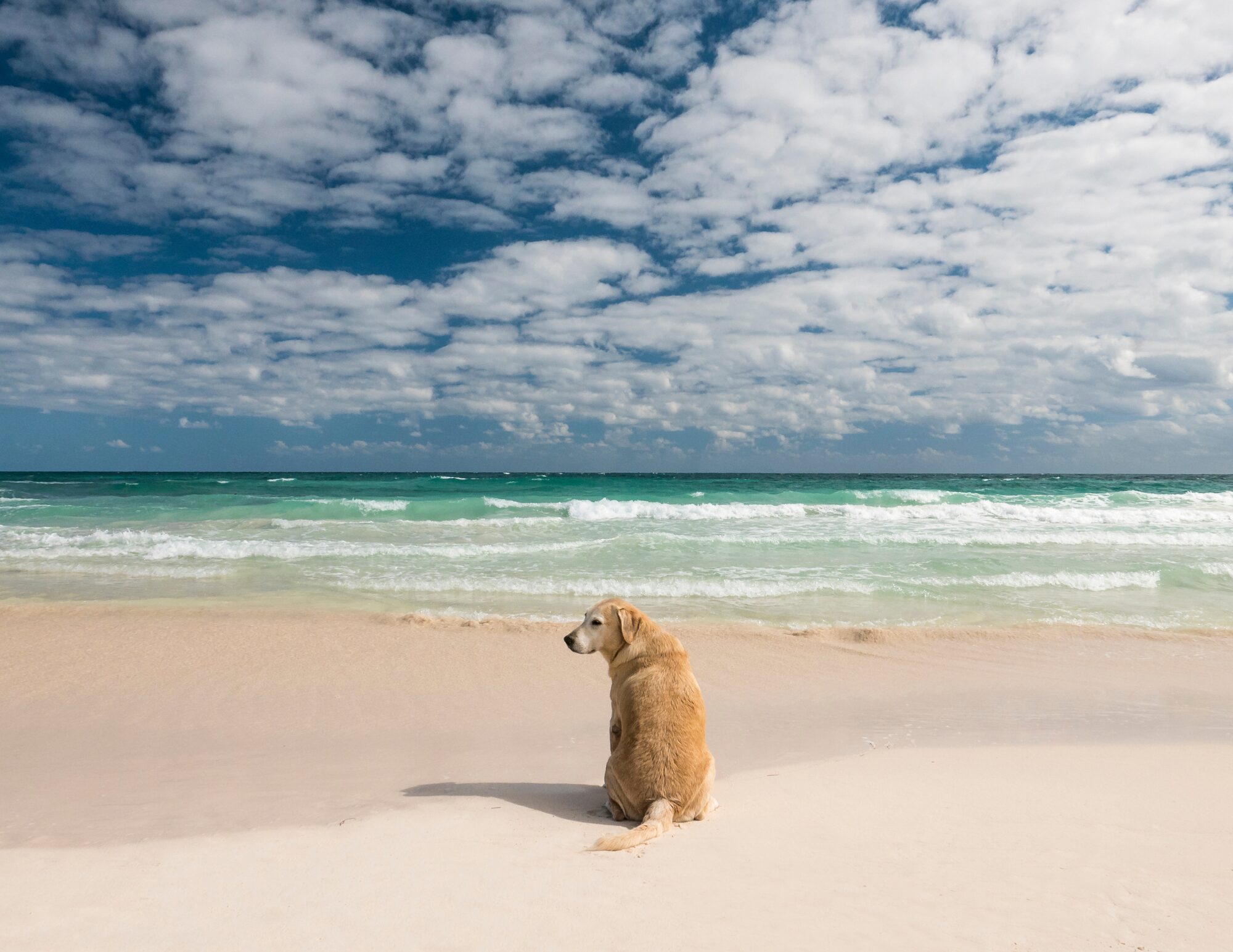 Baja California Sur experience